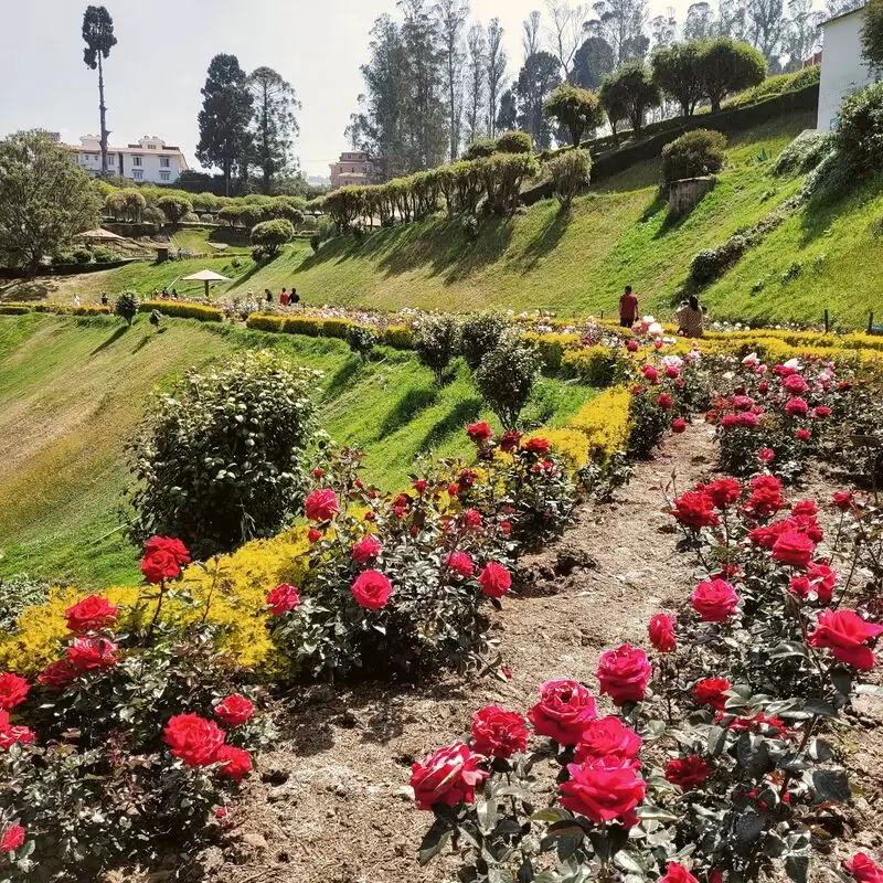 Government Rose Garden