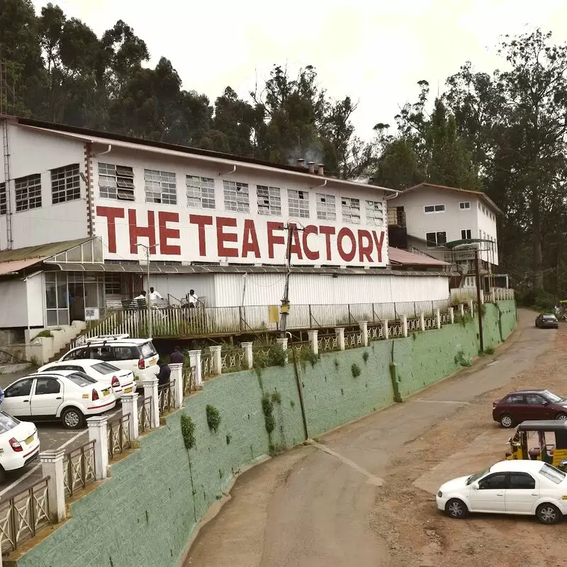 The Tea Factory & The Tea Museum