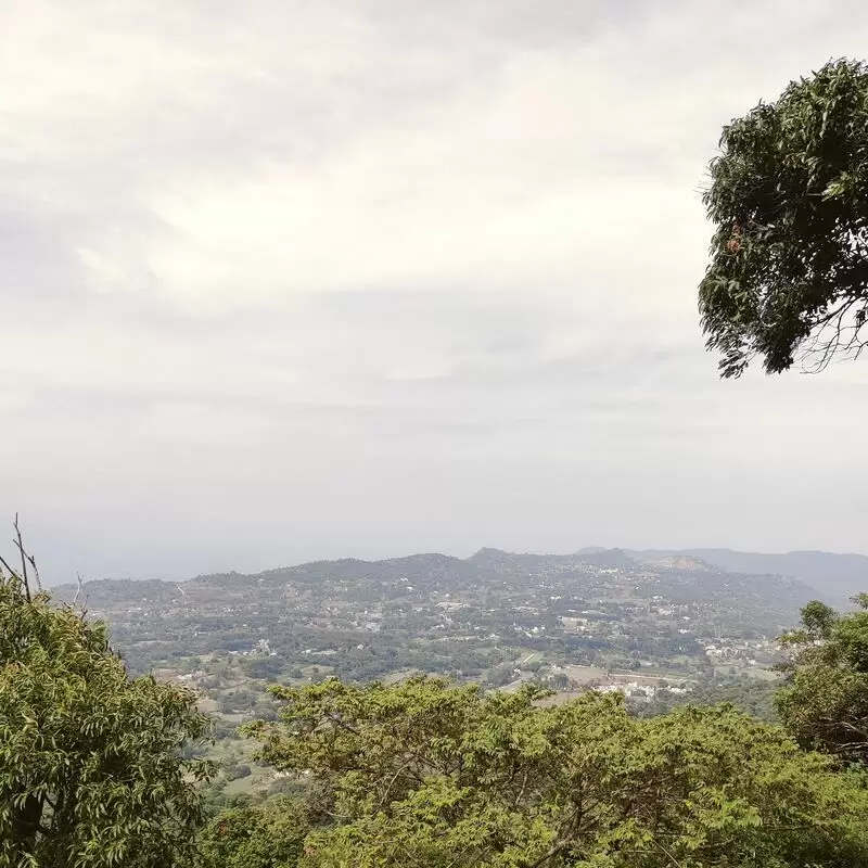 Swamimalai Hills Yelagiri