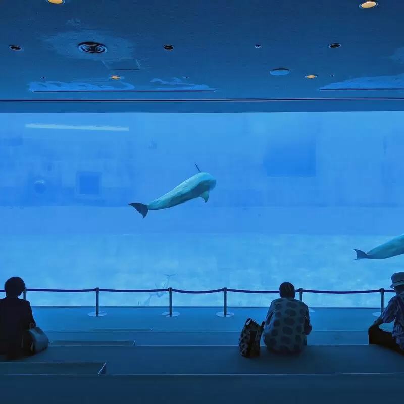 Port Of Nagoya Public Aquarium