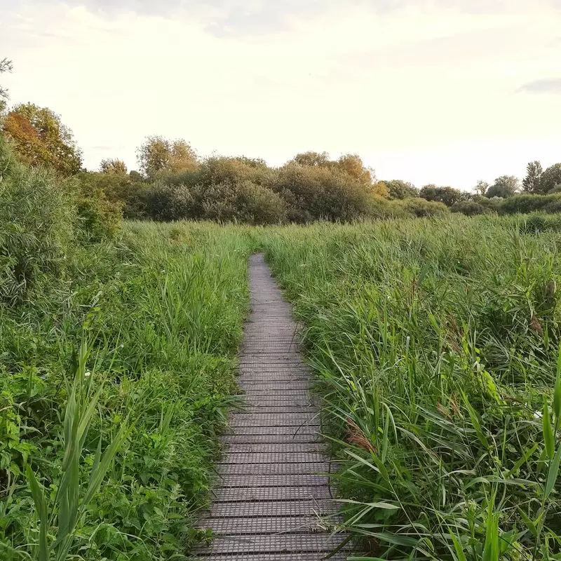 Winnall Moors Nature Reserve