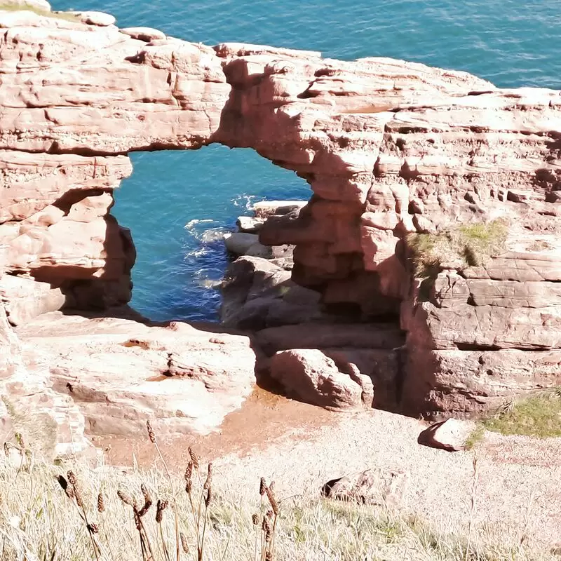 Arbroath Cliffs