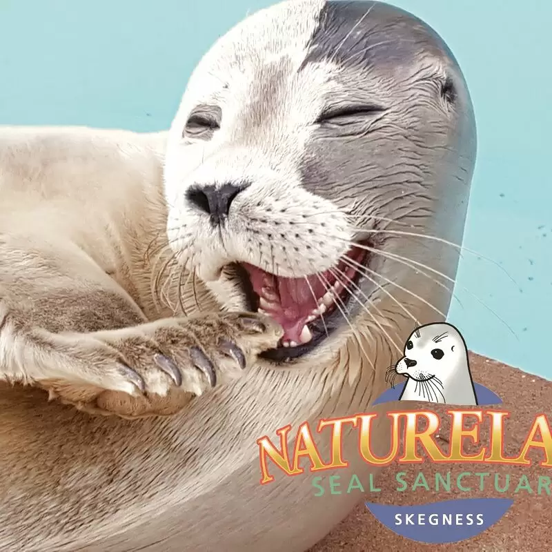 Natureland Seal Sanctuary Skegness)