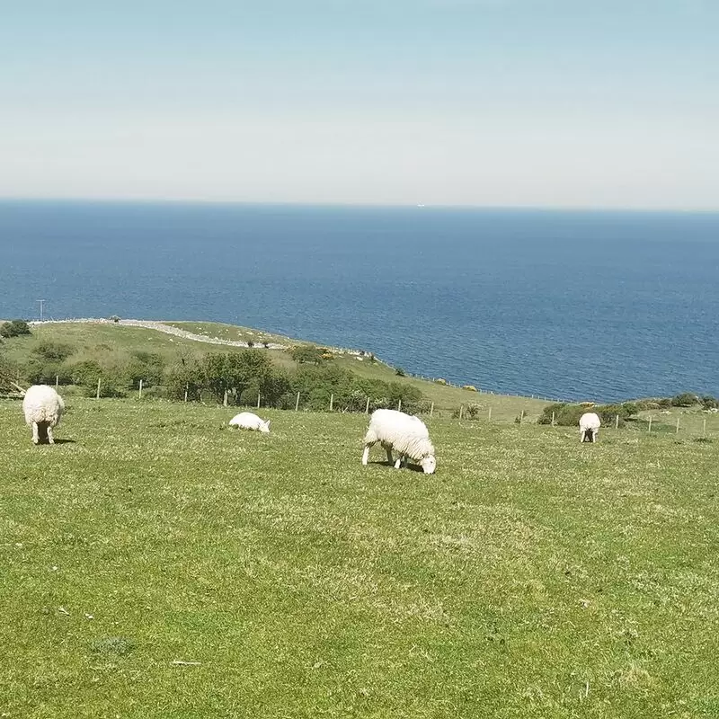 Y Gogarth Great Orme Country Park