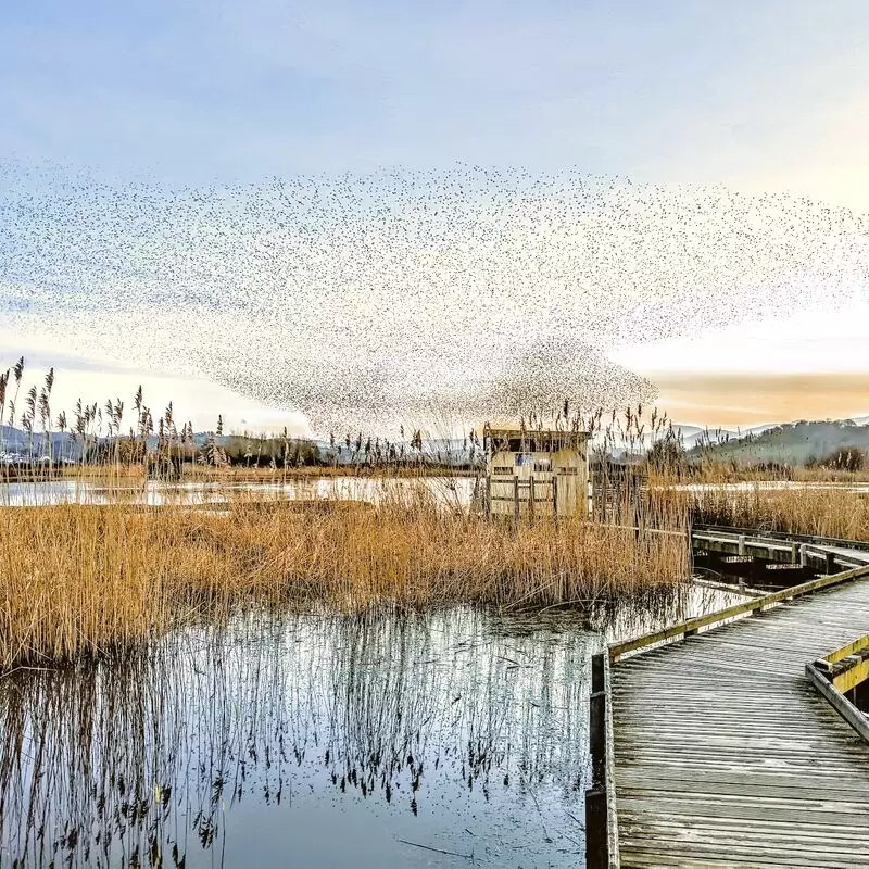 RSPB Conwy