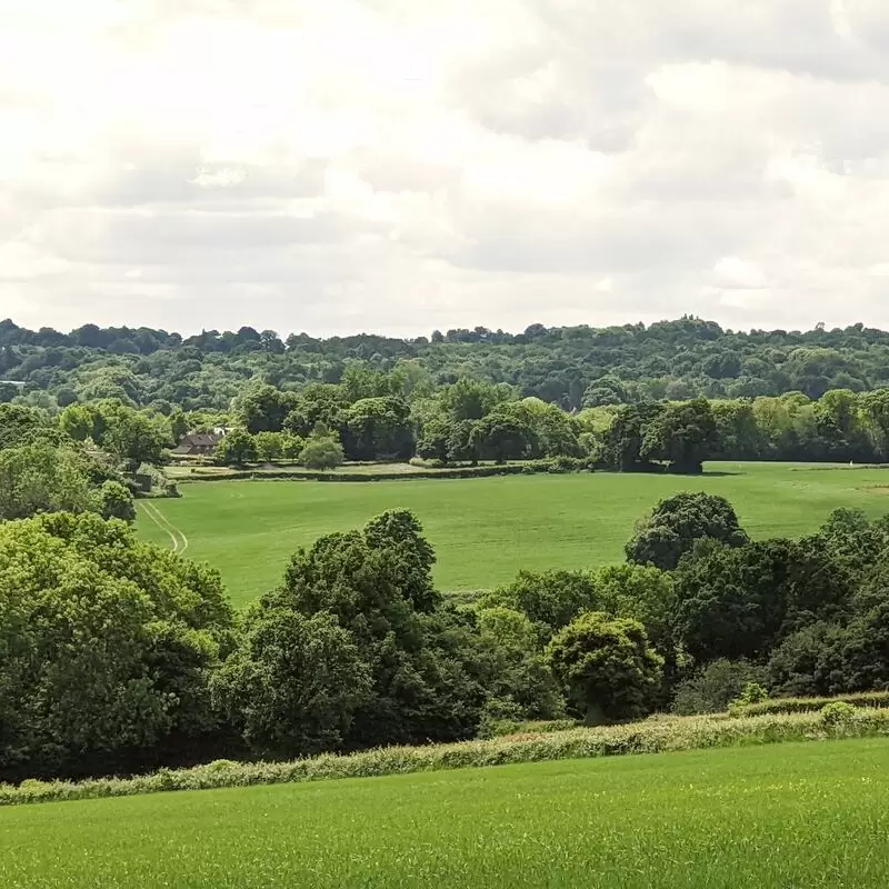 High Weald AONB