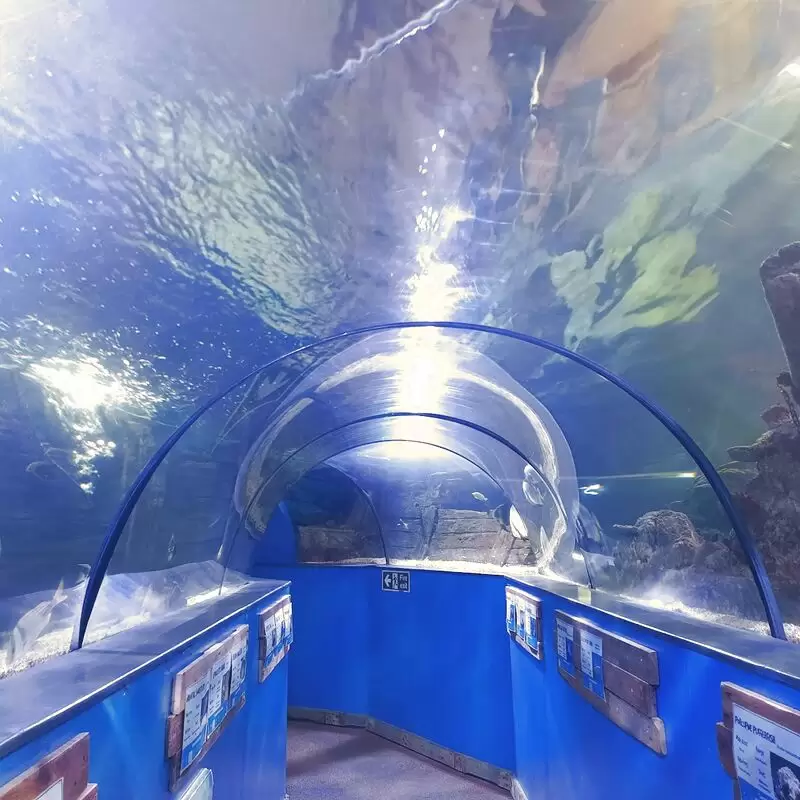 Hastings Aquarium