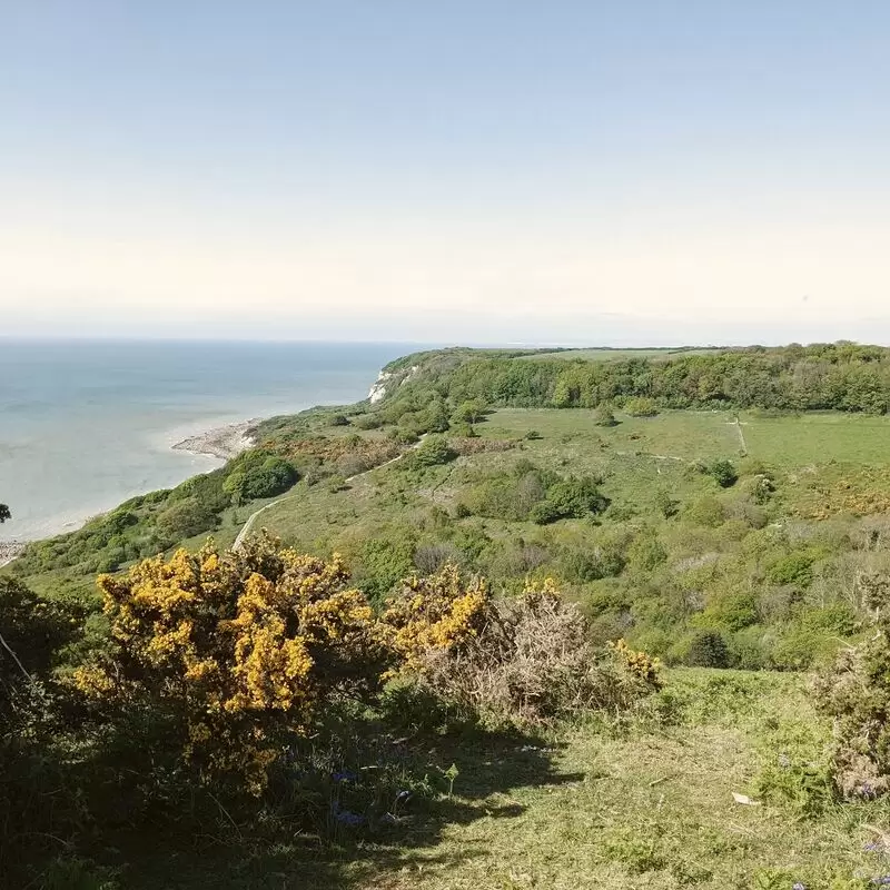 Hastings Country Park