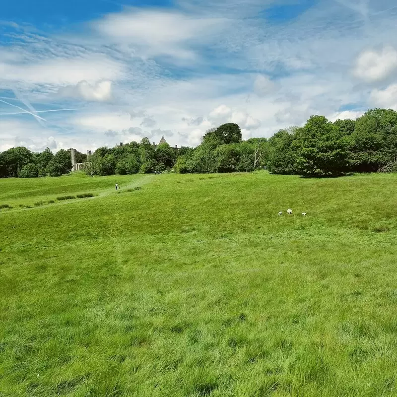 Hastings Battlefield