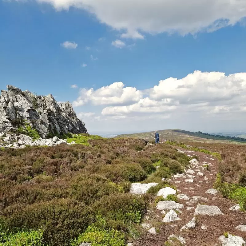 Stiperstones National Nature Reserve