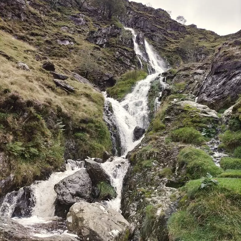 Moss Force Waterfall