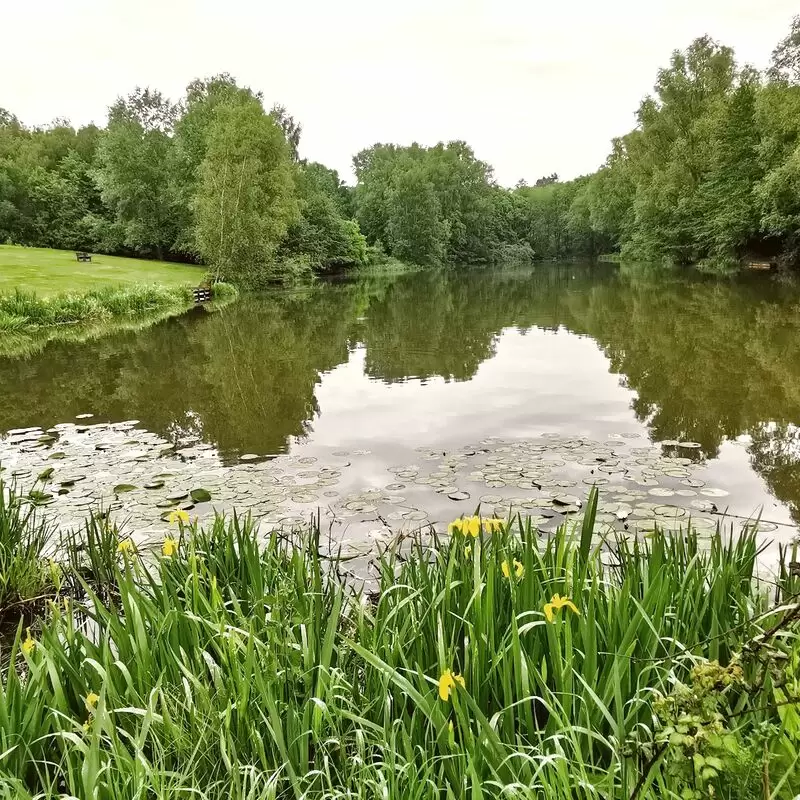 Highwoods Country Park