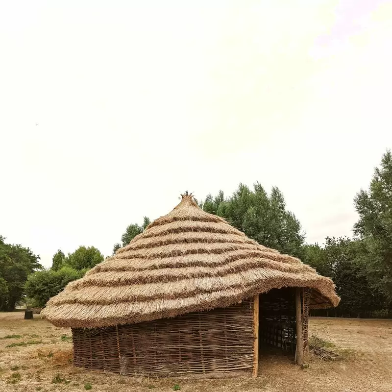 Flag Fen Archaeology Park