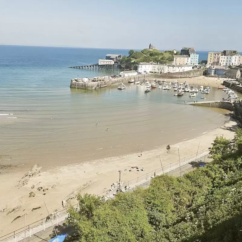 Tenby Harbour