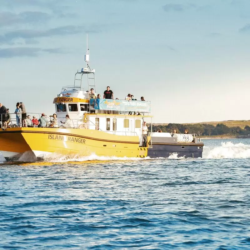 Tenby Boat Trips