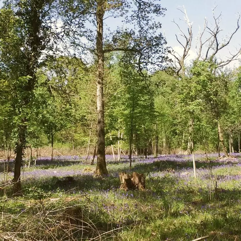 Worcester Woods Country Park