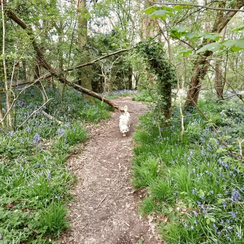 Perry Wood Local Nature Reserve