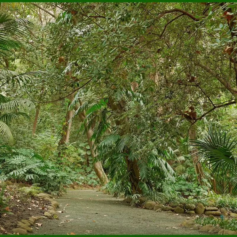 Jardín Botánico Histórico La Concepción