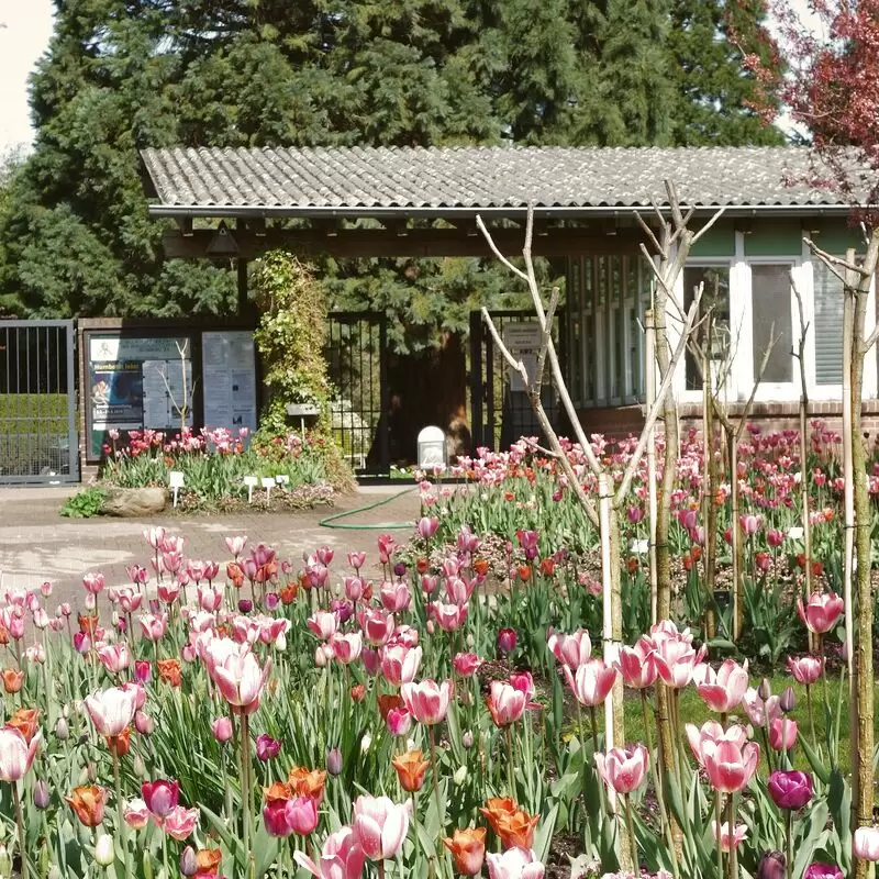 Loki Schmidt Garden Botanical of University Hamburg