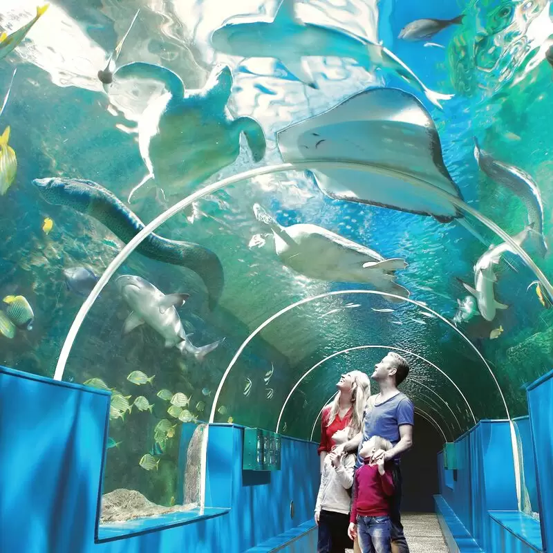 Oceanarium