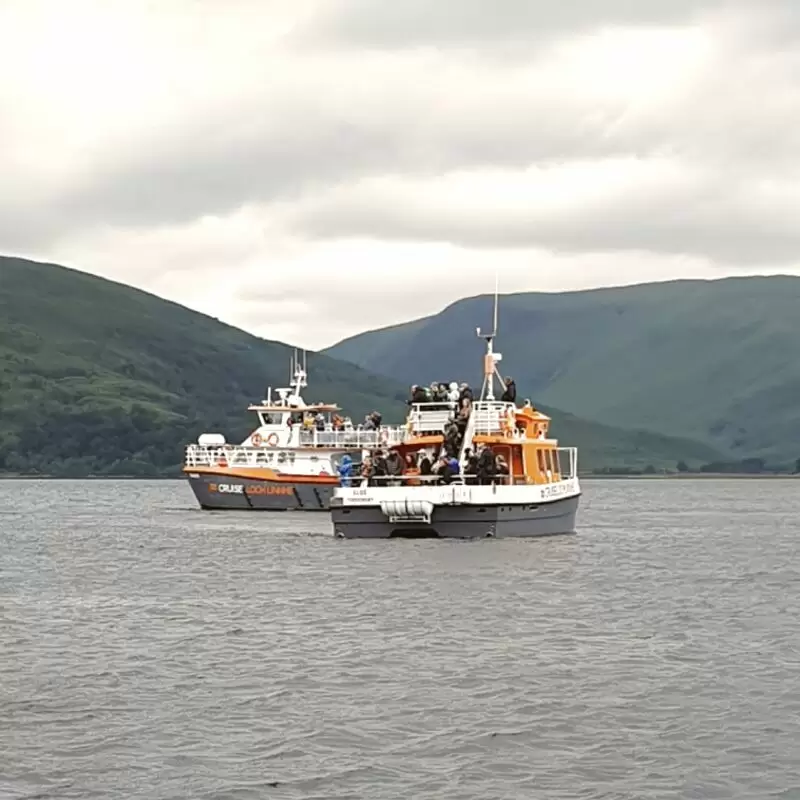 Cruise Loch Linnhe