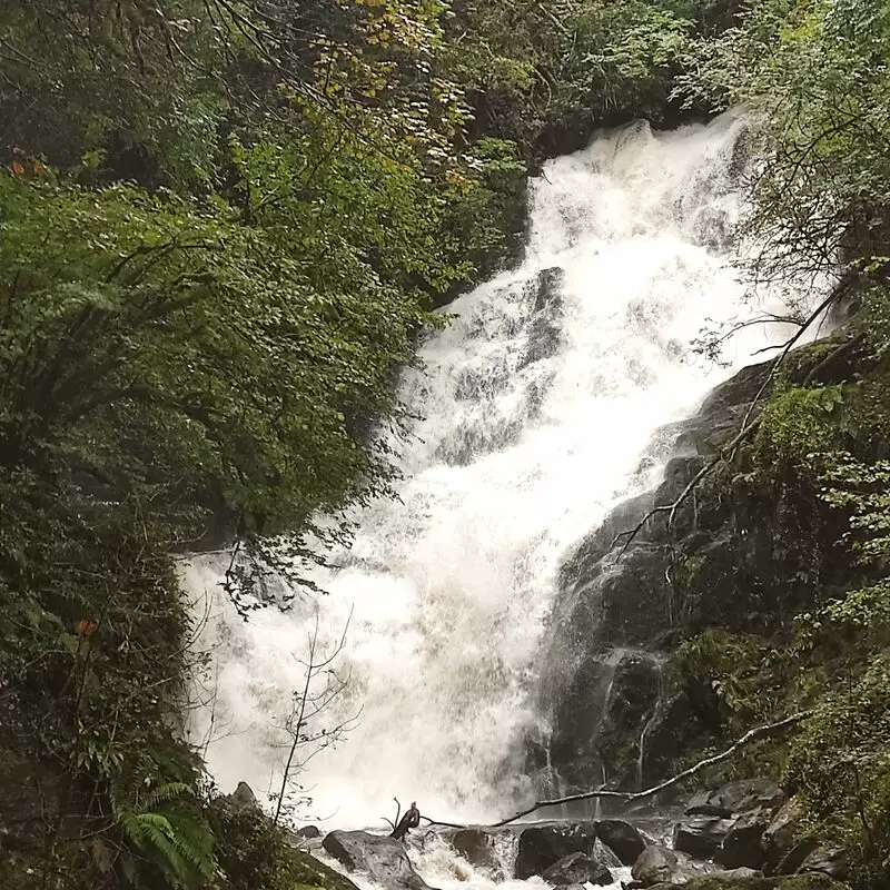 Killarney National Park