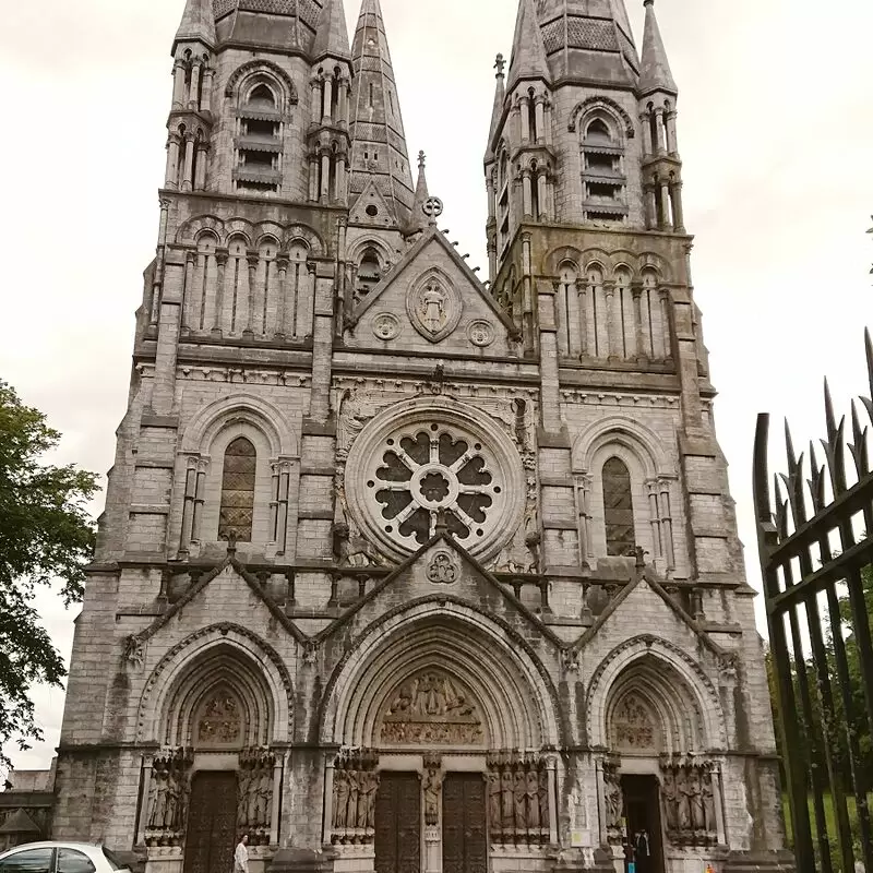 Saint Fin Barre's Cathedral