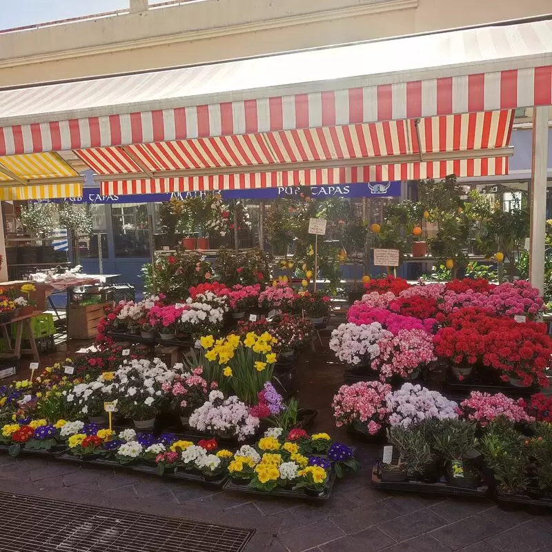 Marché Aux Fleurs Cours Saleya