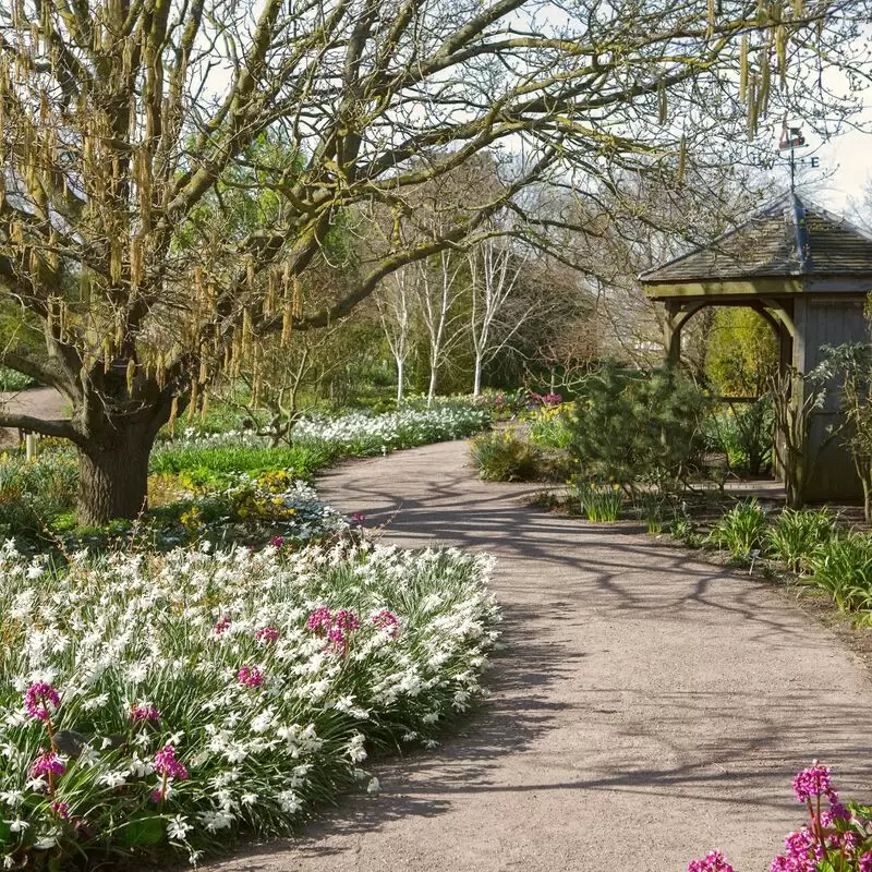 RHS Garden Hyde Hall