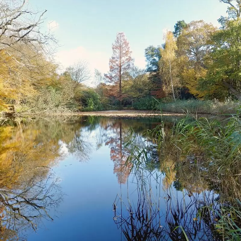 Danbury Country Park