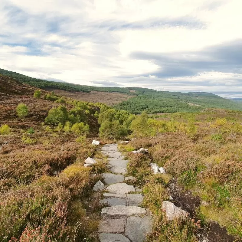 Craigellachie National Nature Reserve Entrance)