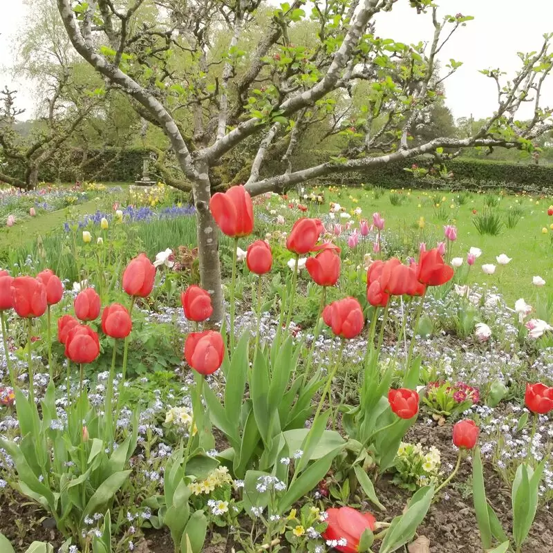 Hergest Croft Gardens