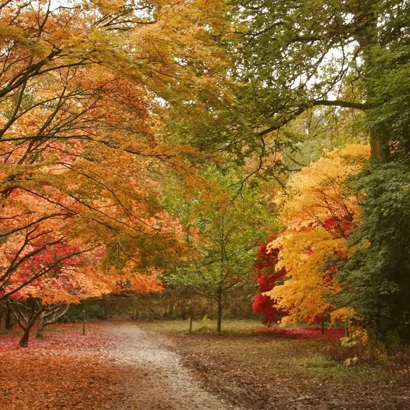 Queenswood Country Park & Arboretum