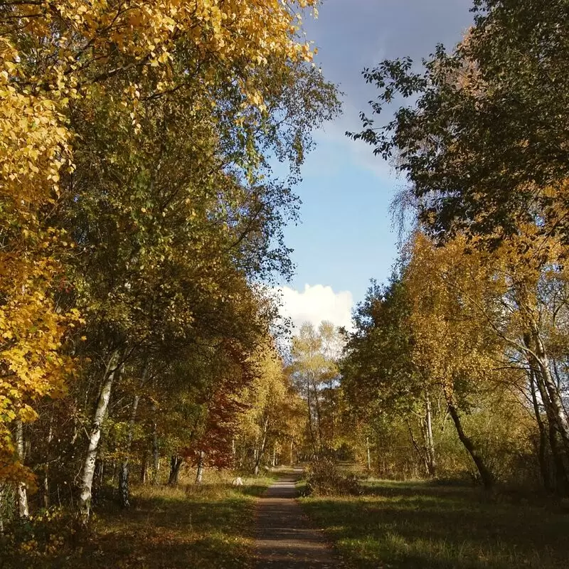 Potteric Carr Nature Reserve