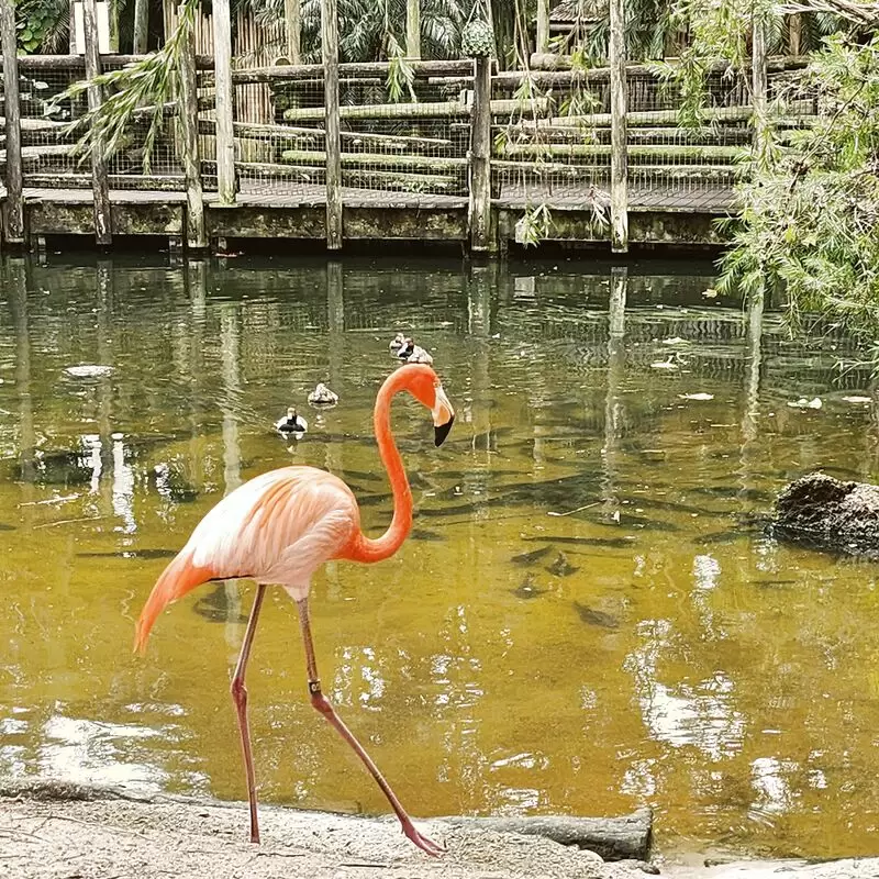 Palm Beach Zoo