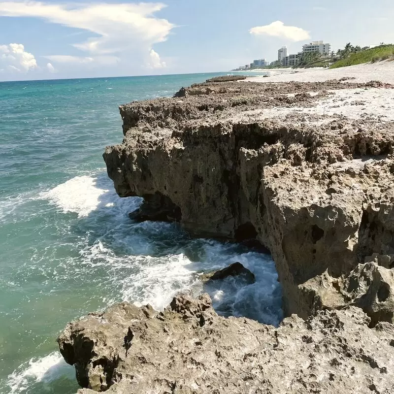 The Nature Conservancy Blowing Rocks Preserve