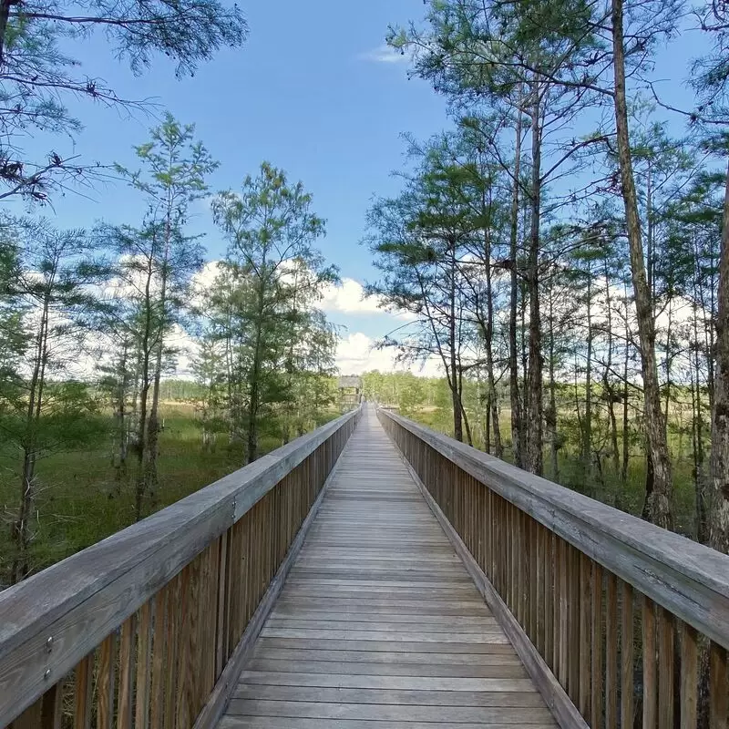 Grassy Waters Preserve