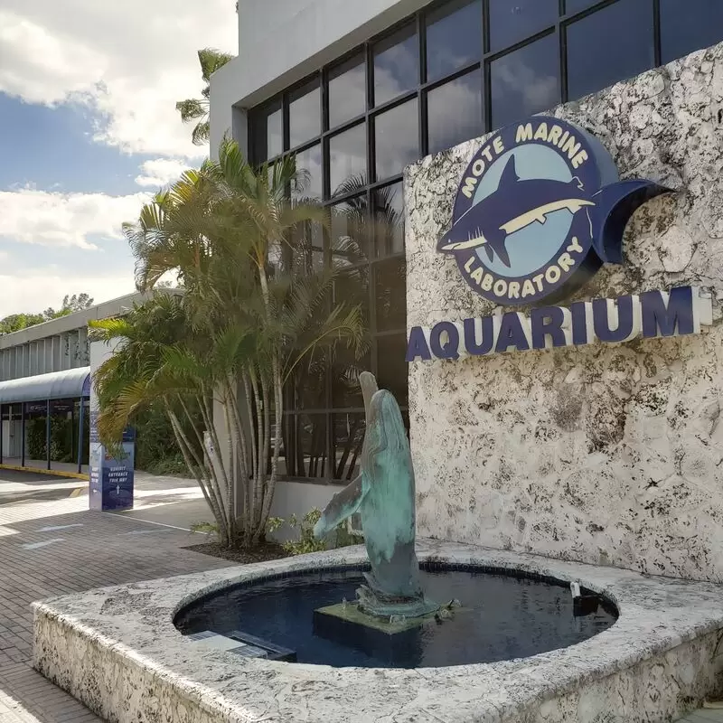 Mote Marine Laboratory & Aquarium