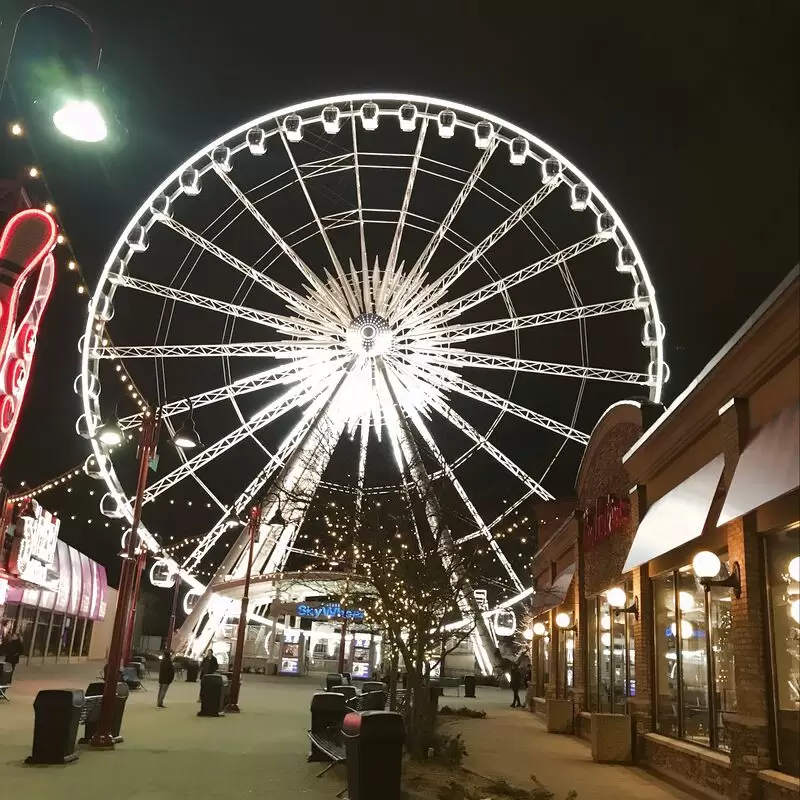 Niagara SkyWheel