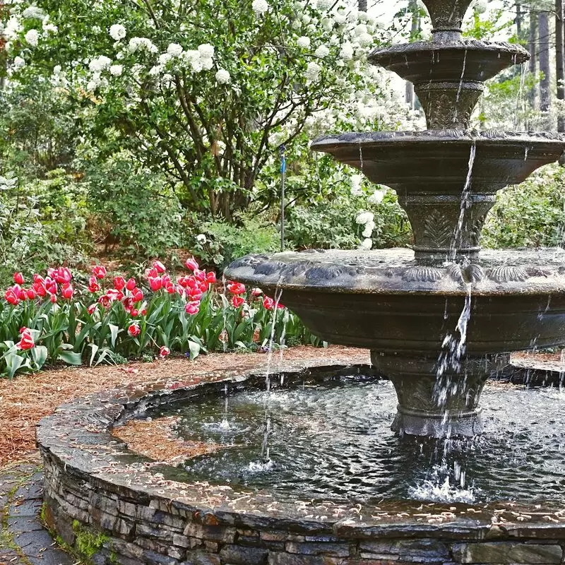 WRAL Azalea Garden