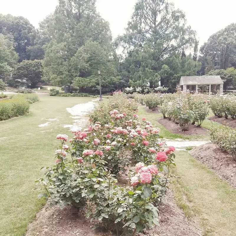 Rose Garden