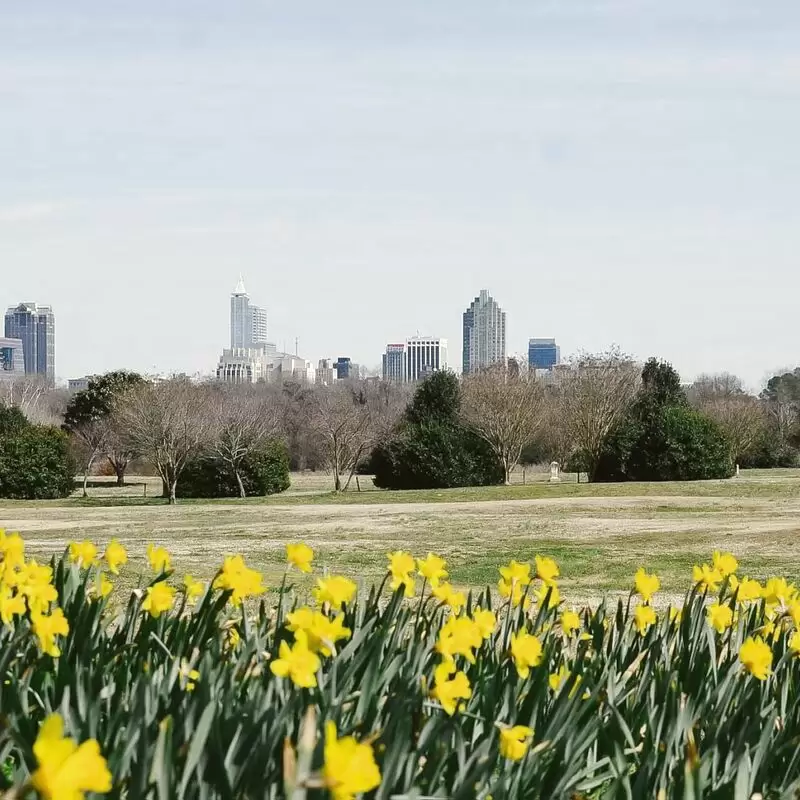 Dorothea Dix Park