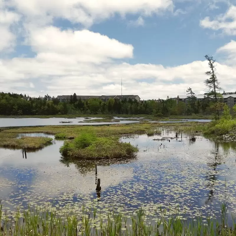 Belchers Marsh Park