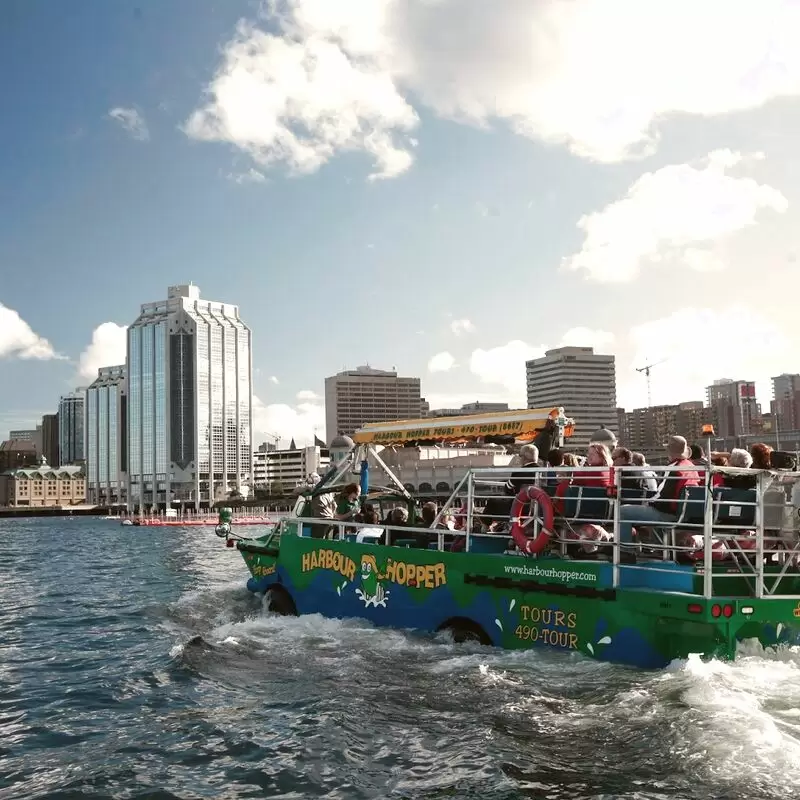 Harbour Hopper Tours