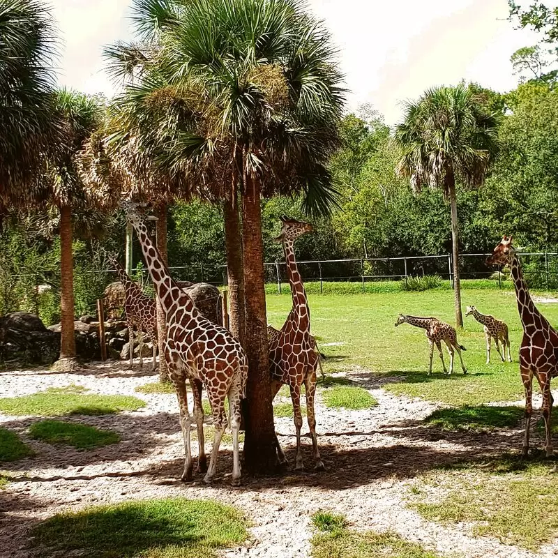 Jacksonville Zoo and Gardens