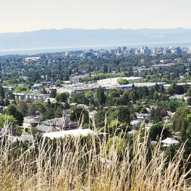 Mount Tolmie Park