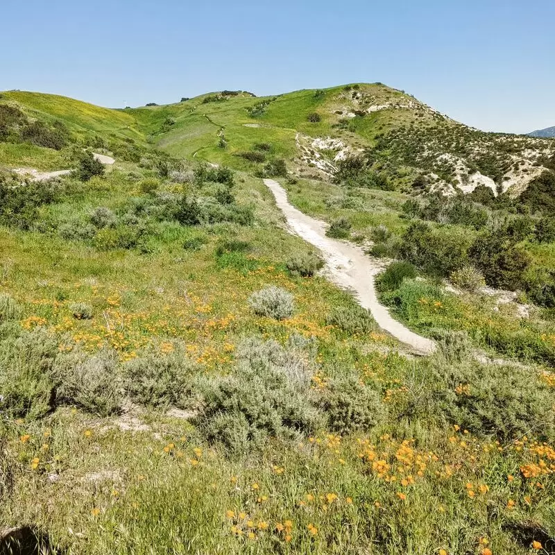 Santiago Oaks Regional Park