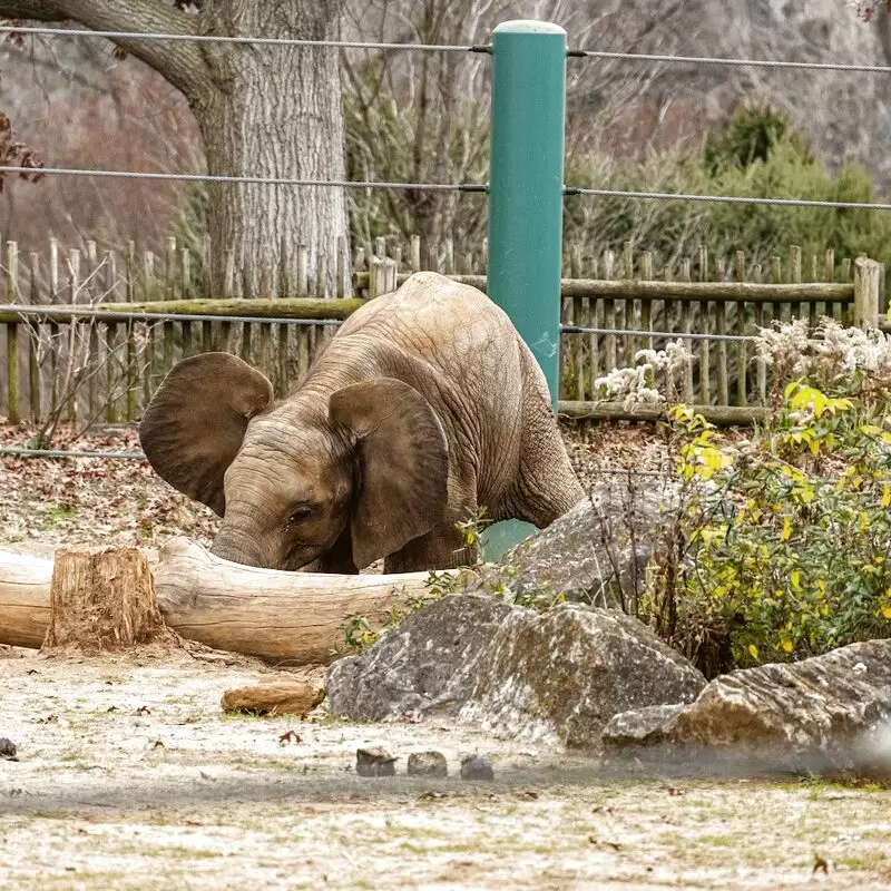 Louisville Zoo