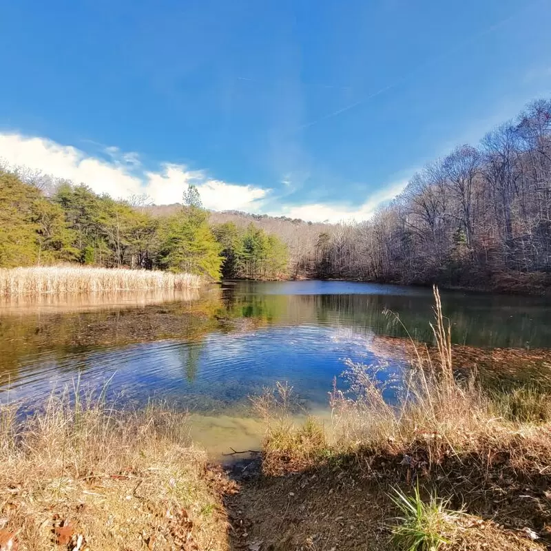 Jefferson Memorial Forest