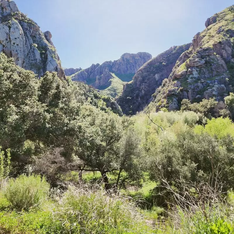 Malibu Creek State Park